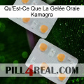 What Is Kamagra Oral Jelly 25